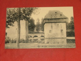 CRUPET  -  ASSESSE -  Le Château - Assesse