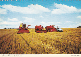 Canada Harvest Time In Saskatchewan - Other & Unclassified