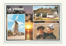 Cp, 85, La Vendée Pittoresque, Multi-Vues, Voyagée 1994 - Sonstige & Ohne Zuordnung