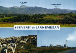 65-LANNEMEZAN...CHAINE DES PYRENEES..LE PLATEAU...3 VUES...CPM 1973 - Lannemezan