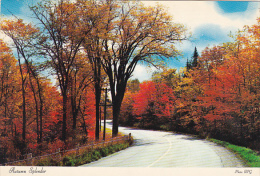 Canada Autumn Splendor Greetings From Fredericton New Brunswick - Fredericton