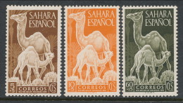 Spanish Sahara 1951, Edifil # 91-93. Dia Del Sello, MNH (**)/ Attention See Description - Spanish Sahara