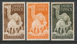 Spanish Sahara 1951, Edifil # 91-93. Dia Del Sello, MH (*) - Spanish Sahara