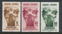 Spanish Sahara 1952, Edifil # 98-100. Dia Del Sello, MNH (**) - Spanish Sahara