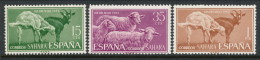 Spanish Sahara 1962, Edifil # 212-214. Dia Del Sello, MH (*) - Spanische Sahara