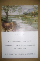 PBX/41 Volpe FREGIO DEI CARRACCI E DIPINTI DI PALAZZO MAGNANI IN BOLOGNA Credito Romagnolo III^ Ed.1980 - Arte, Antigüedades