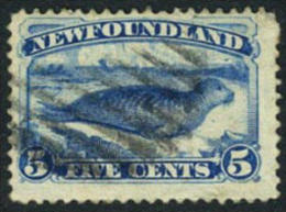 Newfoundland #53 Used 5c Pale Blue Harp Seal From 1880 - 1865-1902