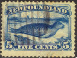 Newfoundland #54 Used 5c Dark Blue Harp Seal From 1887 - 1865-1902