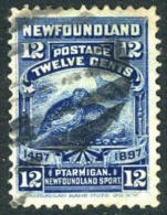 Newfoundland #69 Used 12c Willow Ptarmigan From 1897 - 1865-1902