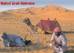 ZS42500 United Arab Emirates Chamel Camel    2  Scans - United Arab Emirates