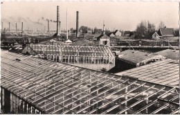 PAYS BAS AALSMEER EEN GLASZEE ZOVER HET OOG REIKT BLOEMENCENTRUM - Aalsmeer