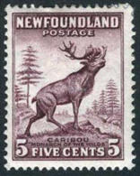 Newfoundland #190 Mint Hinged 5c Caribou (die I) From 1932 - 1865-1902