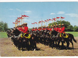 Canada Royal Canadian Mounted Police Drilling For Musical Ride - Police - Gendarmerie