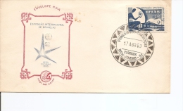 Exposition De Bruxelles -1958 ( FDC Illustré Du Brésil à Voir) - 1958 – Brussels (Belgium)