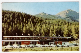 Postcard - Wapta Lodge Motor Hotel, Canada    (11828) - Victoria