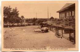 BREEDENE SUR MER BREDENE - FLANDRE OCCIDENTALE - LE HOME DES ENFANTS DU HAINAUT - UN COIN DE LA PETITE FERME - Bredene