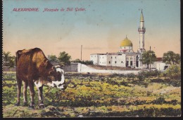 CPA - (Egypte) Alexandrie - Mosquée De Sidi Gaber - Alexandrië