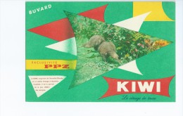 P. P. Z.     "   KIWI  "       -   Ft  =  12 Cm  X  18 Cm - Waschen & Putzen