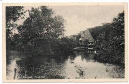 25910  -    Meppel  Reesthof - Meppel