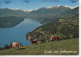 (OS534) BLICK VOM GSCHRIET ZUM  MILLSTATTERSEE - Millstatt