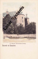Souvenir De ECAUSSINES - Le Château D'Ecaussines-Lalaing  (Carte Colorée) - Ecaussinnes