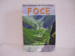 Marche / FOCE - Altri & Non Classificati