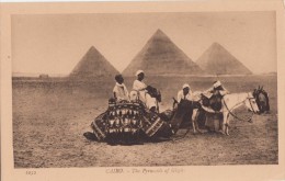 C1900 THE PYRAMIDS OF GIZEH - Pyramides