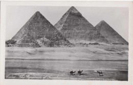 C1940 -  PYRAMIDS OF GIZEH - Pyramides