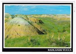 M23 South Dakota - Badlands National Park - Yucca / Viaggiata 1985 - Altri & Non Classificati