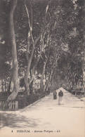 C1900 ISMAILIA - AVENUE POIRPRE - Ismailia