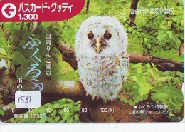 Carte Prépayée Japon Télécarte Japon Oiseau * HIBOU (1581)  * OWL * BIRD Japan Phonecard * TK * EULE * UIL * GUFO * BUHO - Eulenvögel