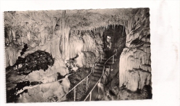 20  -  MONACO  -  La Grotte De L'Observatoire Dans Le Jardin Exotique  -  Tuyaux De Pipe - Exotic Garden