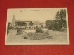 FLORENNES -   Ecole Apostolique - Vue Du Château - Florennes