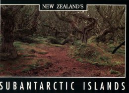 (238) New Zealand Subantarcti Islands - Auckland Island Forest - New Zealand