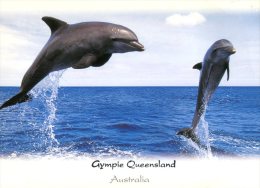 (415) Australia - Dolphins - Dolfijnen