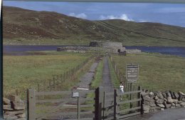 (415) UK - Scotland - Shetland Islands - Lerwick - Shetland