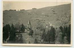 SERGNAT  - Ormont Dessous. - Ormont-Dessous