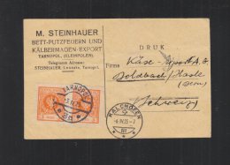 Polen Poland PK 1925 In Die Schweiz - Storia Postale