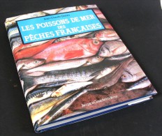 Les Poissons De Mer Des Pêches Françaises Par Jean-Claude Quéro / Jacques Grancher éditeur En 1984 - Chasse/Pêche