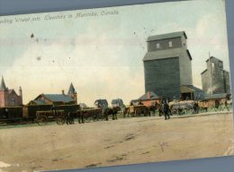 (S636) Very Old Postcard - Carte Ancienne - Canada - Minatoba - Farming - Andere & Zonder Classificatie