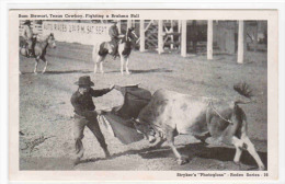 Texas Cowboy Bullfighting Brahma Bull Corrida Postcard - Other & Unclassified