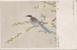 ZS50062 Bird Oisseaux North Koreea 2  Scans - Corea Del Norte