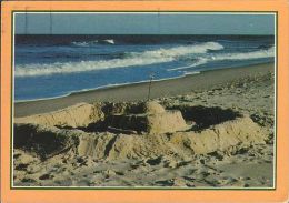 USA - Del-Mar-Va - Atlantic Ocean - Beach - Nice Stamp - Altri & Non Classificati