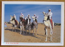 Tunisia Camel Riders - Posted 2001 - Unclassified