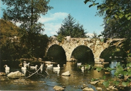 Environs De GRAMAT    THEMINES    Le Pont Du Moulin Haut(canards) - Gramat