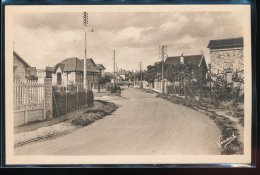 78 --- Andresy -- Avenue Des Coutayes - Andresy