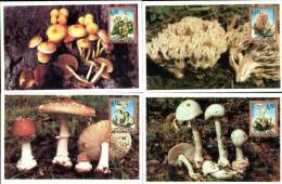 Yugoslavia 1999 Flora, Poisonous Mushrooms, 4 Maxi-cards - Cartas & Documentos