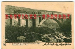 TRAIN & PONT - Train Sur Le Viaduc Entre Rabat Et Fez - Railroad Viaduct - Bridge Railway - Chemin De Fer - Dos Scanné - Opere D'Arte