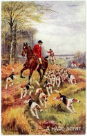 Delcampe - Men Fox Hunting ´A Hard Scent´ - Artist  Signed Norah Drummond - Jagd