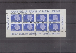 TURQUIE / TURKEY Bloc-feuillet **1979    (ref 195 ) - Hojas Bloque